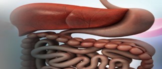 3rd Annual Digestive Diseases Update Banner